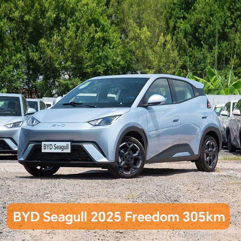 BYD Seagull 2025 Freedom 305km