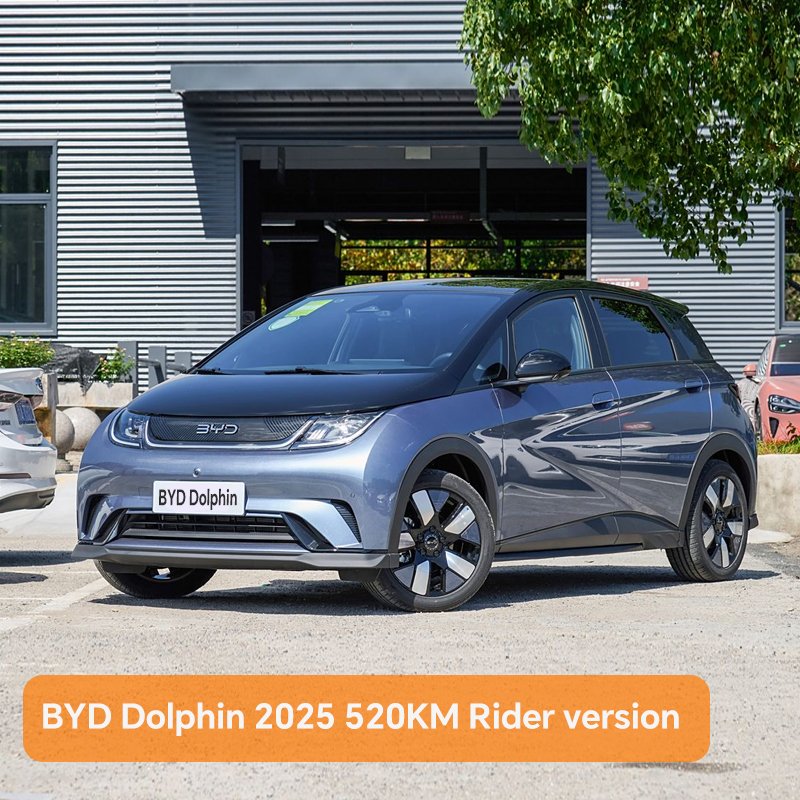 BYD Dolphin 2025520KM Rider version