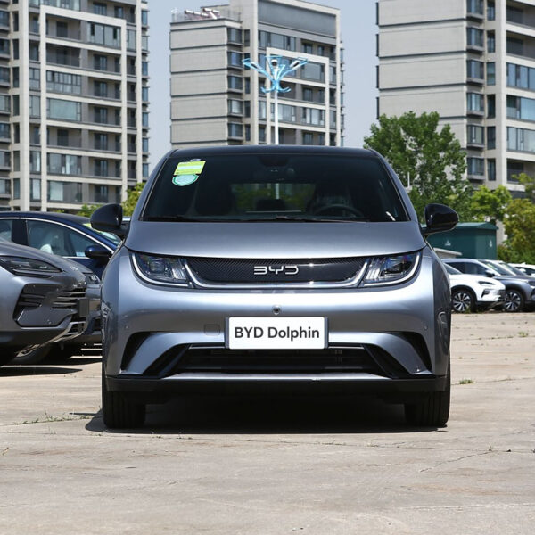 BYD Dolphin 2024 Honor 420km Fashionable - Image 4