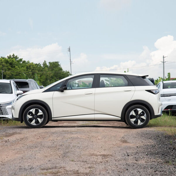 BYD Dolphin 2025 420KM Free version - Image 6