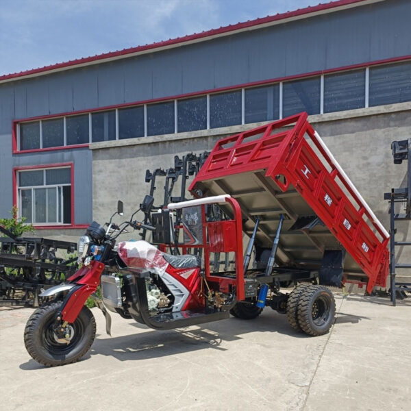 Fukui tricycle new Q5 - Image 3