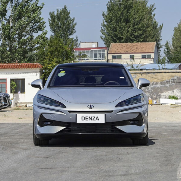 DENZA Z9GT 2024 1100 4WD MAX - Image 4