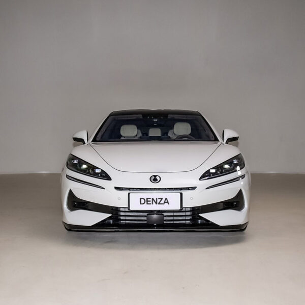 DENZA Z9GT 2024 1100 4WD ULTRA - Image 4