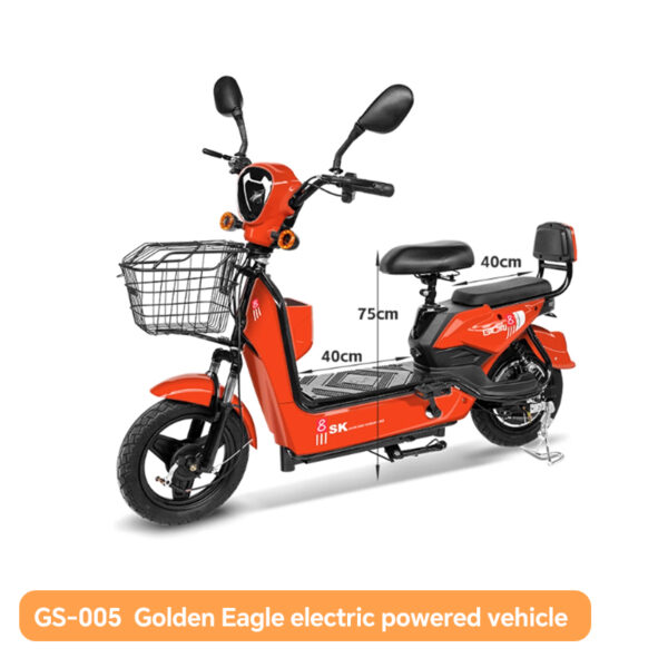 GS-005  two-wheel motorcycle Golden Eagle electric powered vehicle