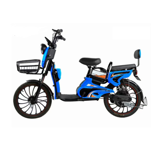 GS-038 Golden Jasmine 20 inchs Two-wheel electric motorcycle - Image 3